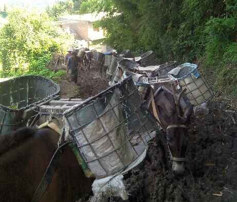 南海区马帮搬运