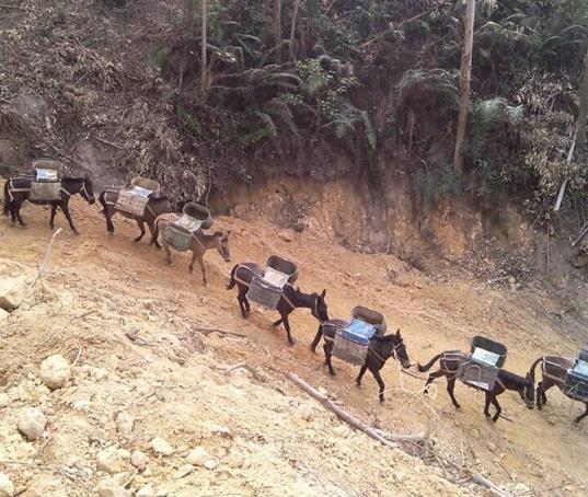 南海区山路马帮运输