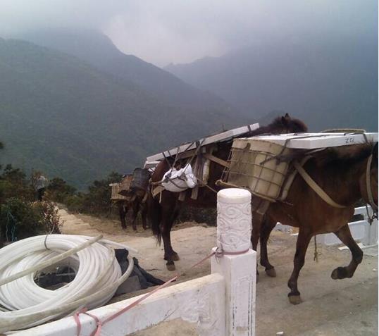 南海区山区马帮运输
