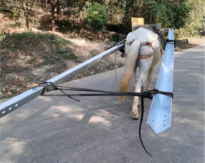 南海区马队搬运