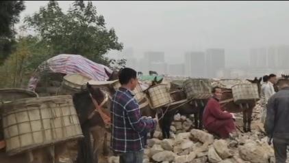 南海区骡马山区运输