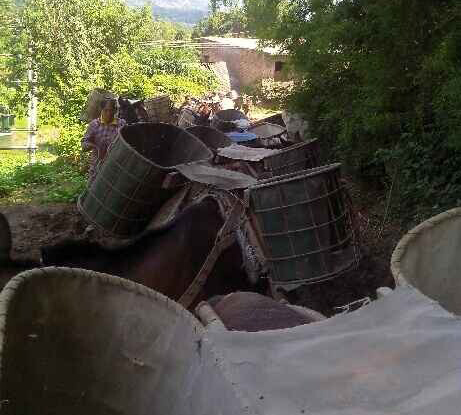 南海区骡马运输队