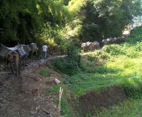 南海区马帮运输队