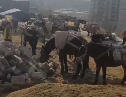 南海区马队山路运输