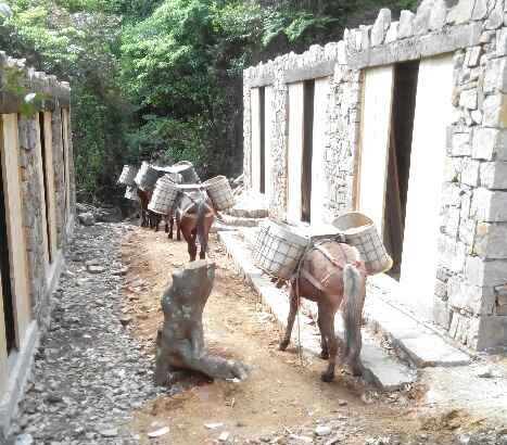 南海区马队运输队